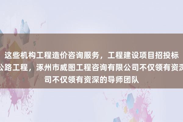 这些机构工程造价咨询服务，工程建设项目招投标代理服务，公路工程，涿州市威图工程咨询有限公司不仅领有资深的导师团队